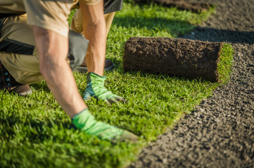 Field Maintenance & Turf Management