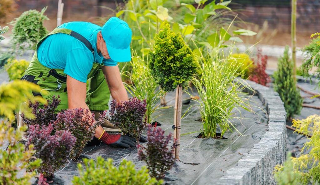 Transform Your Outdoor Spaces with Expert Landscape Services
