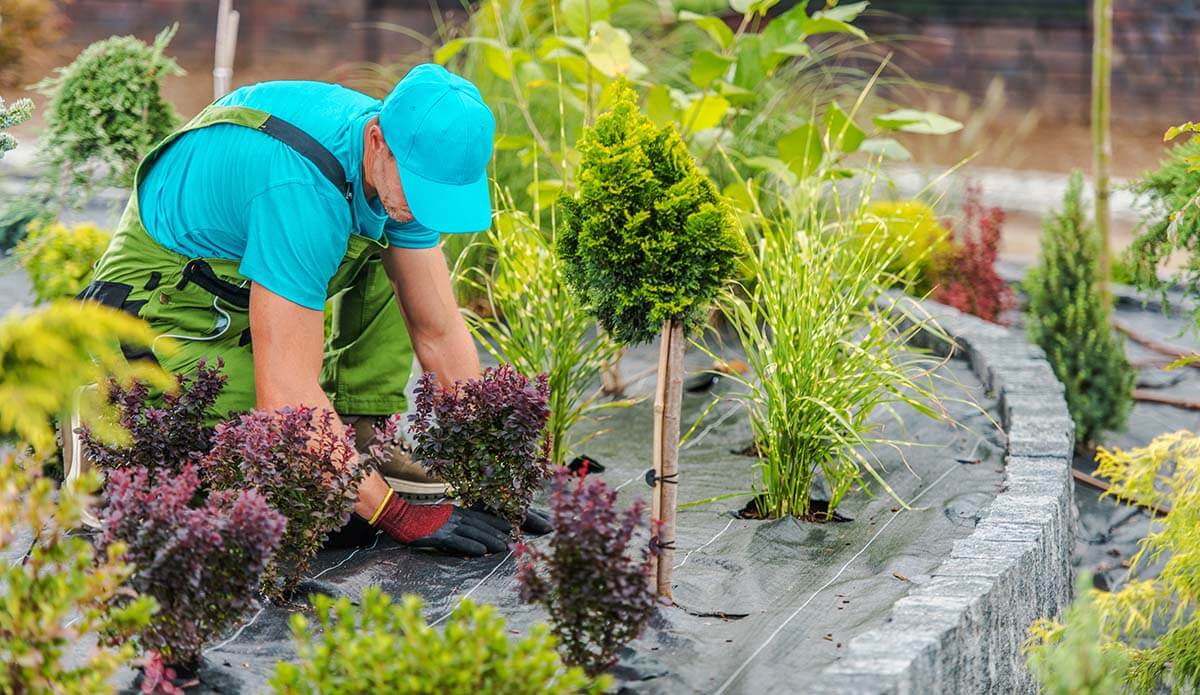 Transform Your Outdoor Spaces with Expert Landscape Services