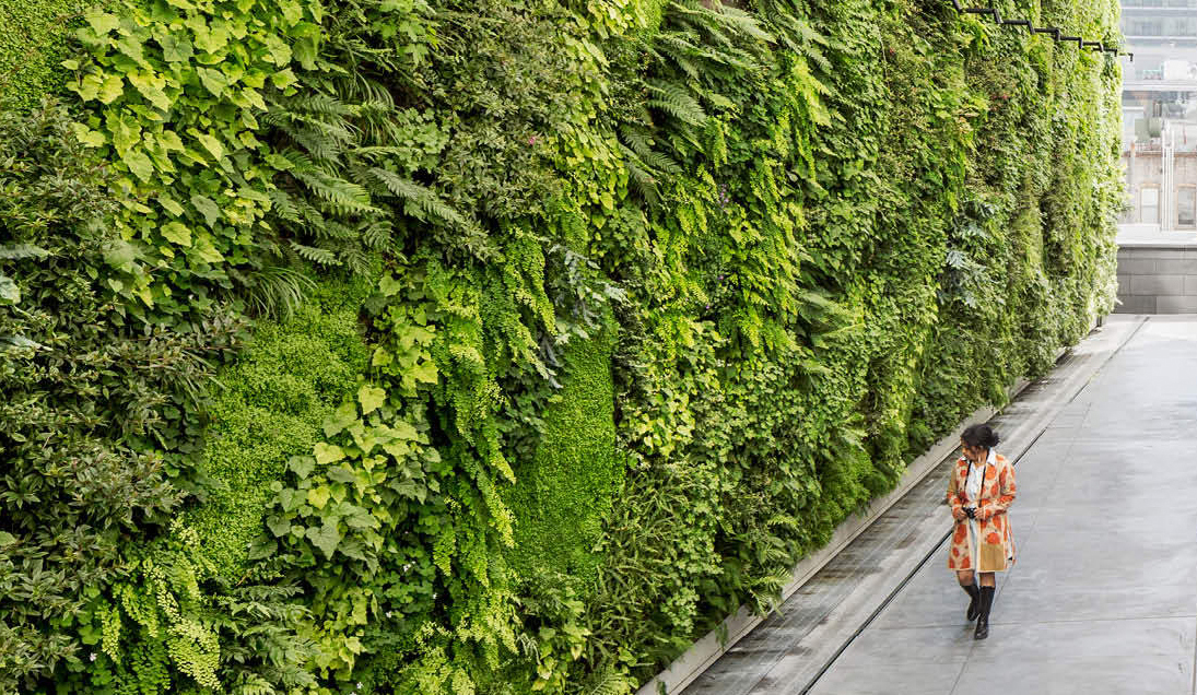 Vertical Green Wall System Transforming Spaces with Sustainable Living Walls